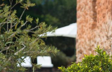 Agroturismo Can Guillem - Photo 94