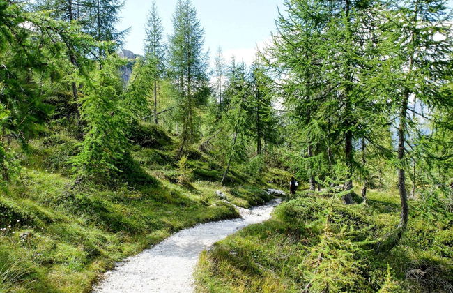 Maso Dolcevista - Foto 49