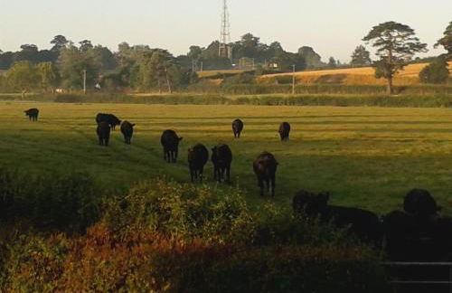 Courtbrook Farm Apartments - Foto 18