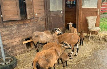 Ferienhaus Spielburg - Foto 30