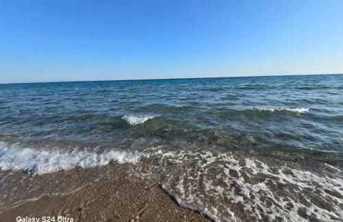 Athenas Vila - Foto 17