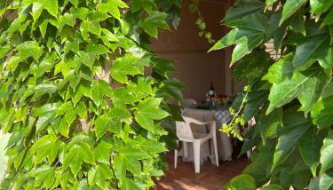 Casa Enredadera - Foto 5