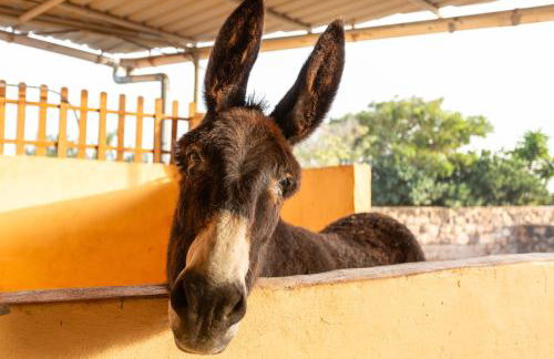 Casa Las Toscas - Foto 29