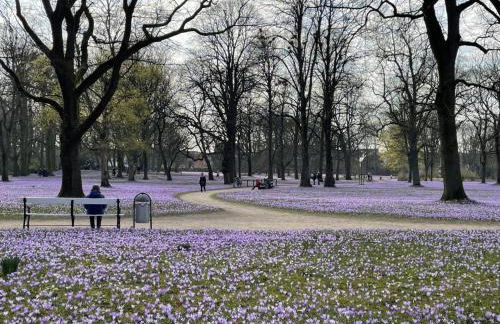 NEU! FeWo Flussland nähe SPO - Foto 37