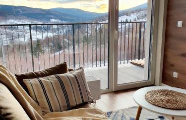 Apartament Szyszka Izerski Resort - strefa z sauną - Foto 3