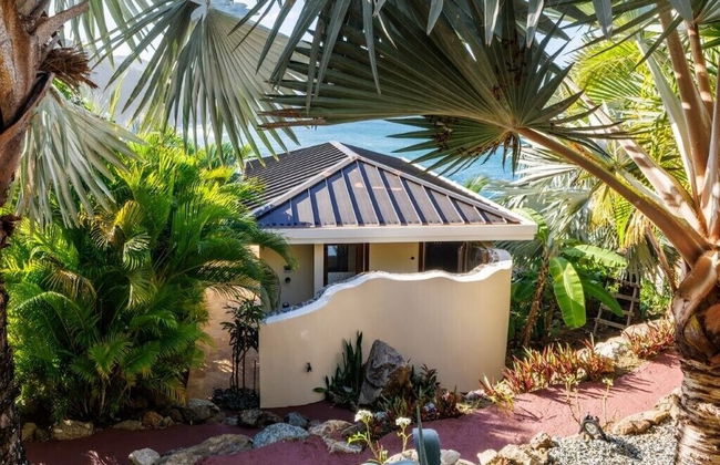 MyALL Tortola - Foto 72