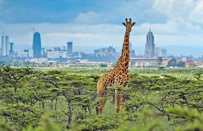 Indesign Studio - Foto 63