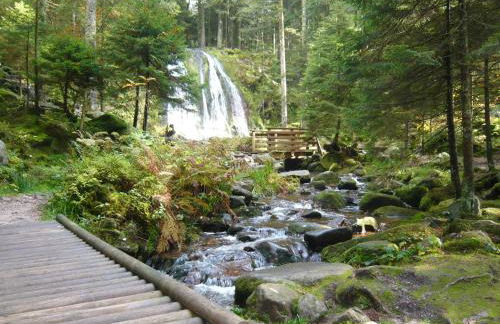 Chalet luxe 12 personnes SPA SAUNA VOSGES-GERARDMER - Foto 41