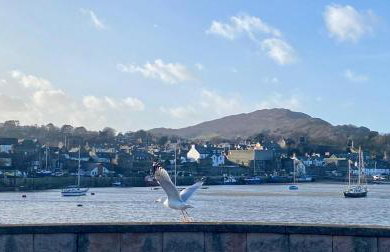 Morfarch traditional stone cottage within Conwy walls - Foto 20
