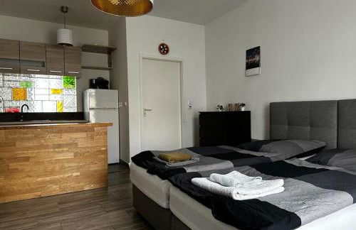 Nice and comfortable studio in Pankow - Foto 5