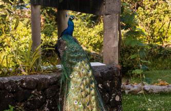 Quinta das Almas - Photo 39