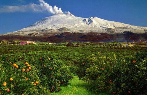 Corte Degli Aranci House - Foto 39