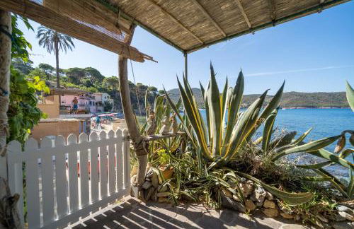 Agave direclty on the beach - Goelba - Foto 26