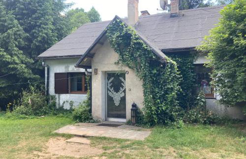 Domek Myśliwski Las Vegas - Foto 1