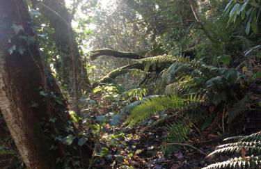 Mellow Mountain Eco Retreat Wales Hot-Tub Sauna - Foto 30