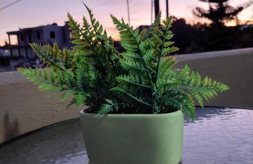 The Mastiha Spot 5 - Foto 32