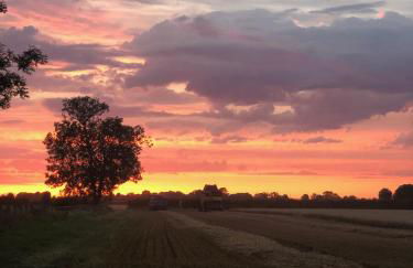 The Shepherd's Hut - Foto 19