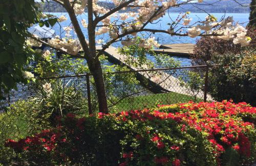 3 bed Lake Sammamish Waterfront + Peloton Bike - Foto 67