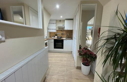Appartement F1 climatisée rez de chaussée - Foto 6