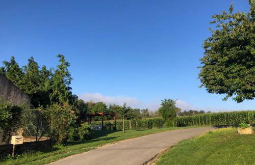 Au coeur de notre ferme céréalière - Foto 3