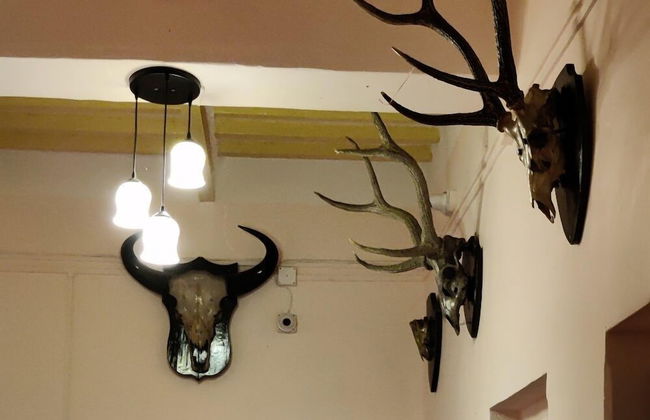 Tulin Heritage Bungalow - Foto 2