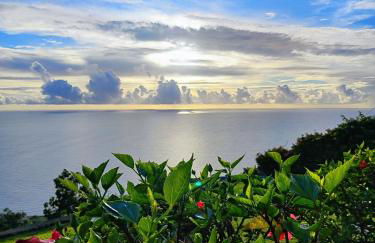 Casa da Ovelha I Madeira - Foto 21