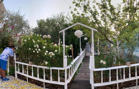 Royal's Studios - Photo 39