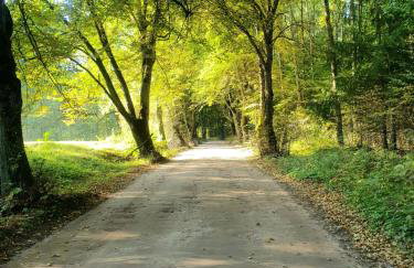 Fuledzki Biały Domek - Mazury, Jacuzzi, Sauna, Giżycko - Foto 58