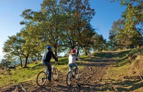 Bosco Ciancio - Foto 121