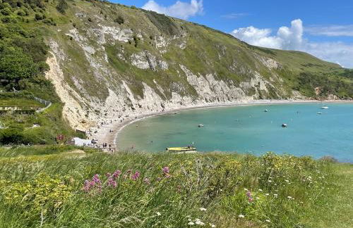 Deer Leap House - Photo 78