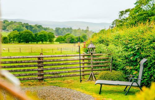 Cwtch Enrico - Uk39064 - Foto 18