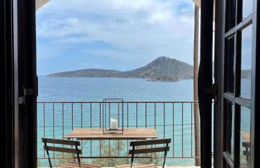 ZenSo Studios - Foto 1