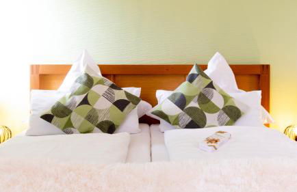 Alt Monjoie - Foto 1