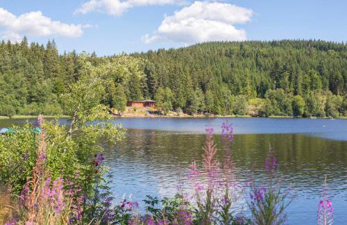 Ferienwohnung am Schwellenweiher - Foto 24