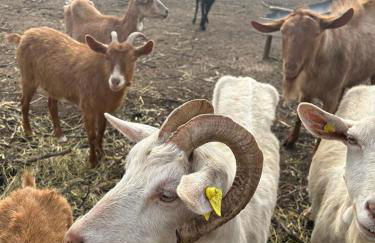 Luna D'Agerola - Foto 77