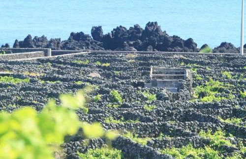 Vivenda Areias - Photo 51