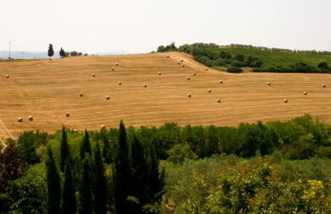 Podere Gattabigia - Foto 22