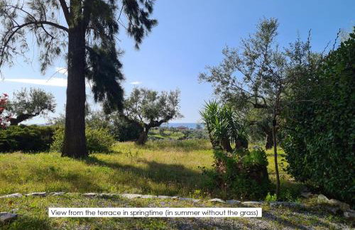 Ktirakia Studios - Foto 26