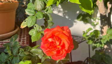 Casa ' Izzy ' - Photo 2