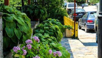 Hotel Elatofilito - Foto 4