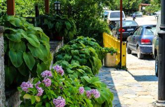 Hotel Elatofilito - Foto 4