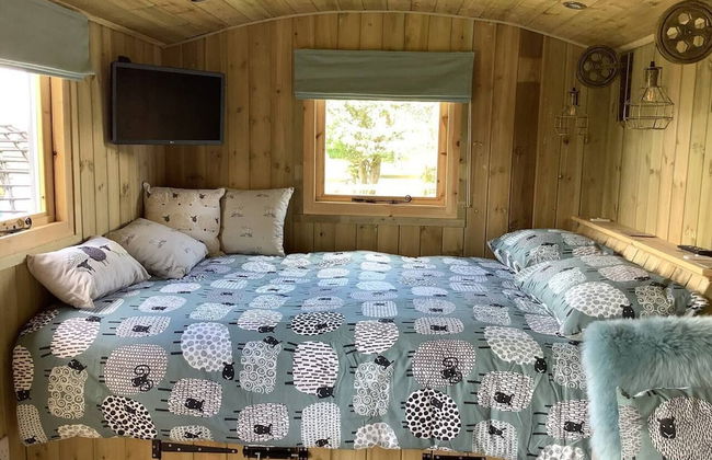 The Shepherds Hut at Hafoty Boeth - Foto 4