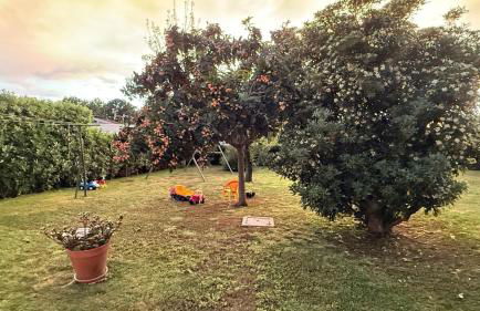 Oasi di Angelica villa con piscina privata - Foto 11