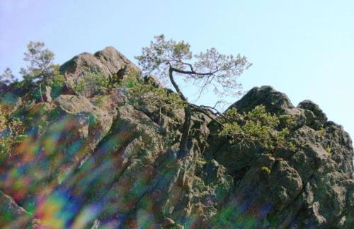 Apartment in Tannesberg Near Goldsteig Trail - Foto 72