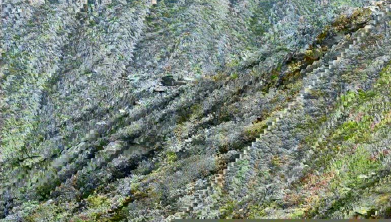 Tour in Monforte de Lemos - Photo 1