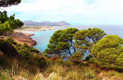 Finca Almendra - Photo 31