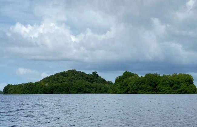 Discover the Natural Paradise of the Chacahua Lagoons - Full-Day Tour - Photo 7