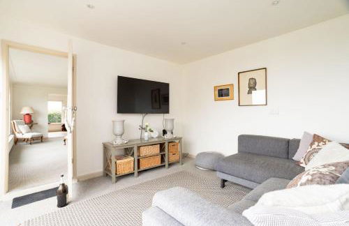 Snow Goose - Foto 17