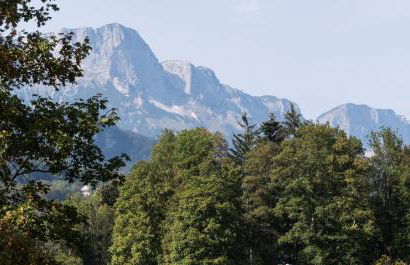 Ferienwohnung Hirscheck - Foto 18