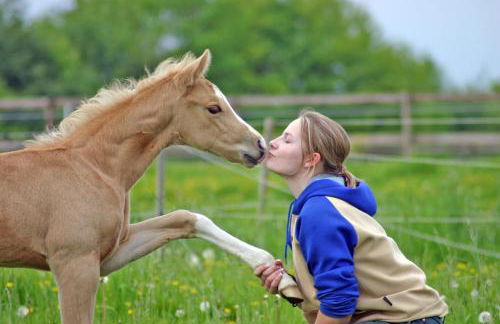 Riedwiesen - Foto 20